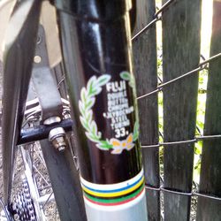 Fuji S10S Vintage Road Bike