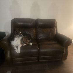 Free Leather Loveseat Not The Doggo