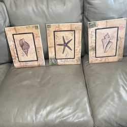 3 shell ocean deco artwork Home deco