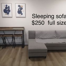 Sleeping sofa/ Big Discount!! $150