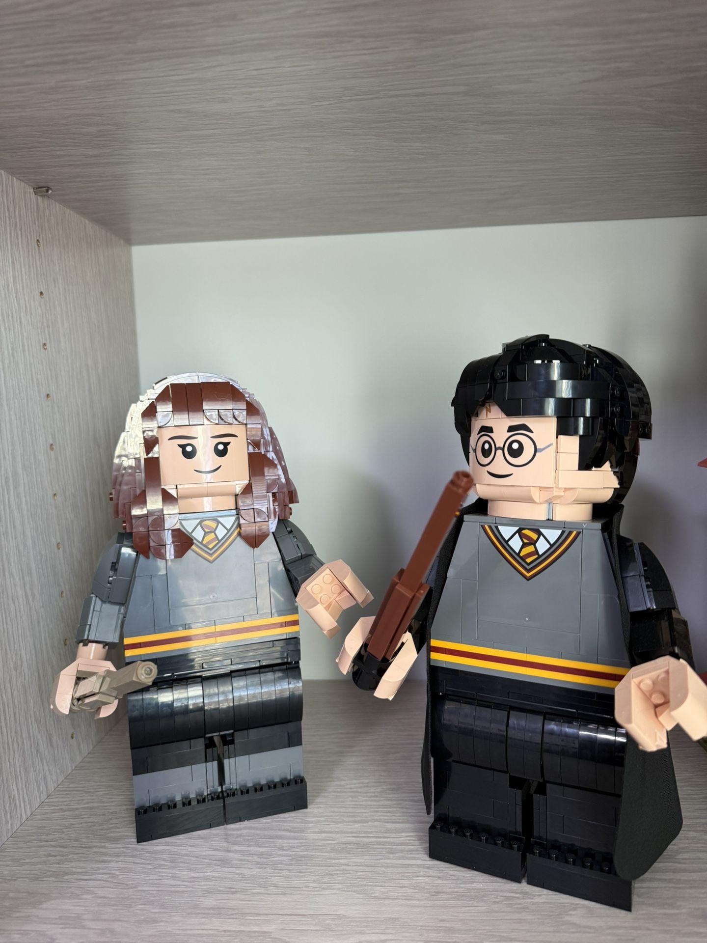 Harry Potter And Hermione Lego (Retired Set!)