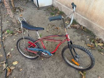 Schwinn typhoon