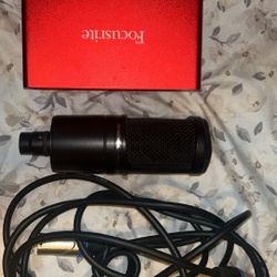 Mic + Audio interface