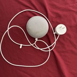 Google home