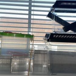 Spider/Tarantula Supplies 