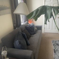 Grey Pull Out Couch