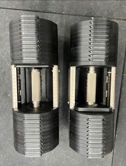 Pepins adjustable dumbbell set