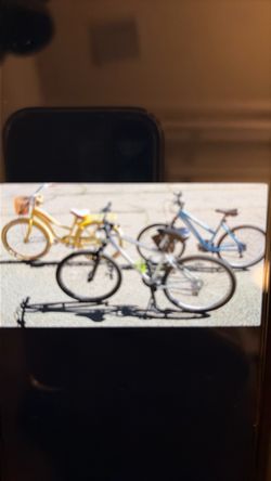 Woman’s Sirius Bicycle & Bike Bag