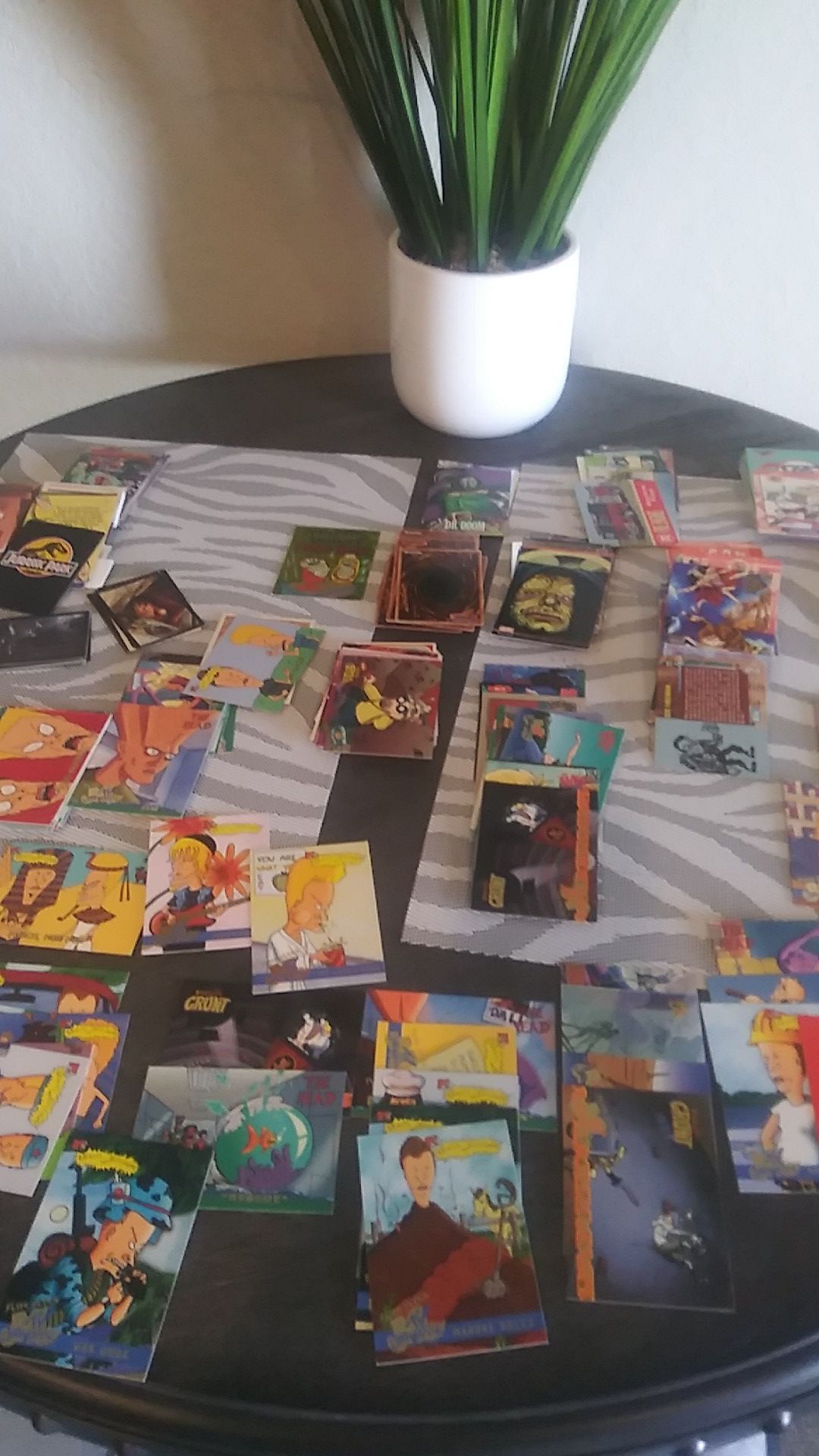 Beavis Butthead Trading Cards and More