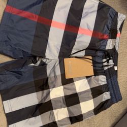 Men Small Burberry Swimming Trunks 