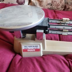 Ohaus Balance Scale