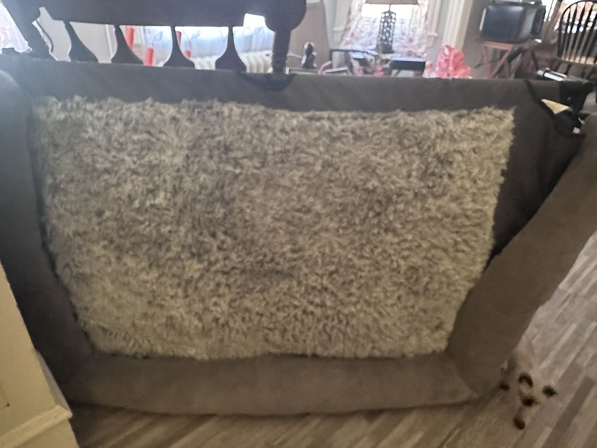 Elevated Dog Bed