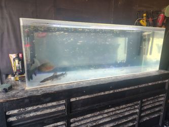 125g aquarium