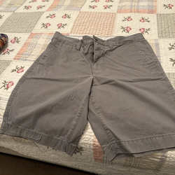 Size 32 Sonoma Men’s Cotton Gray Shorts