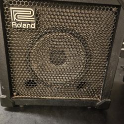 Roland  Cube 20XL 24W. 