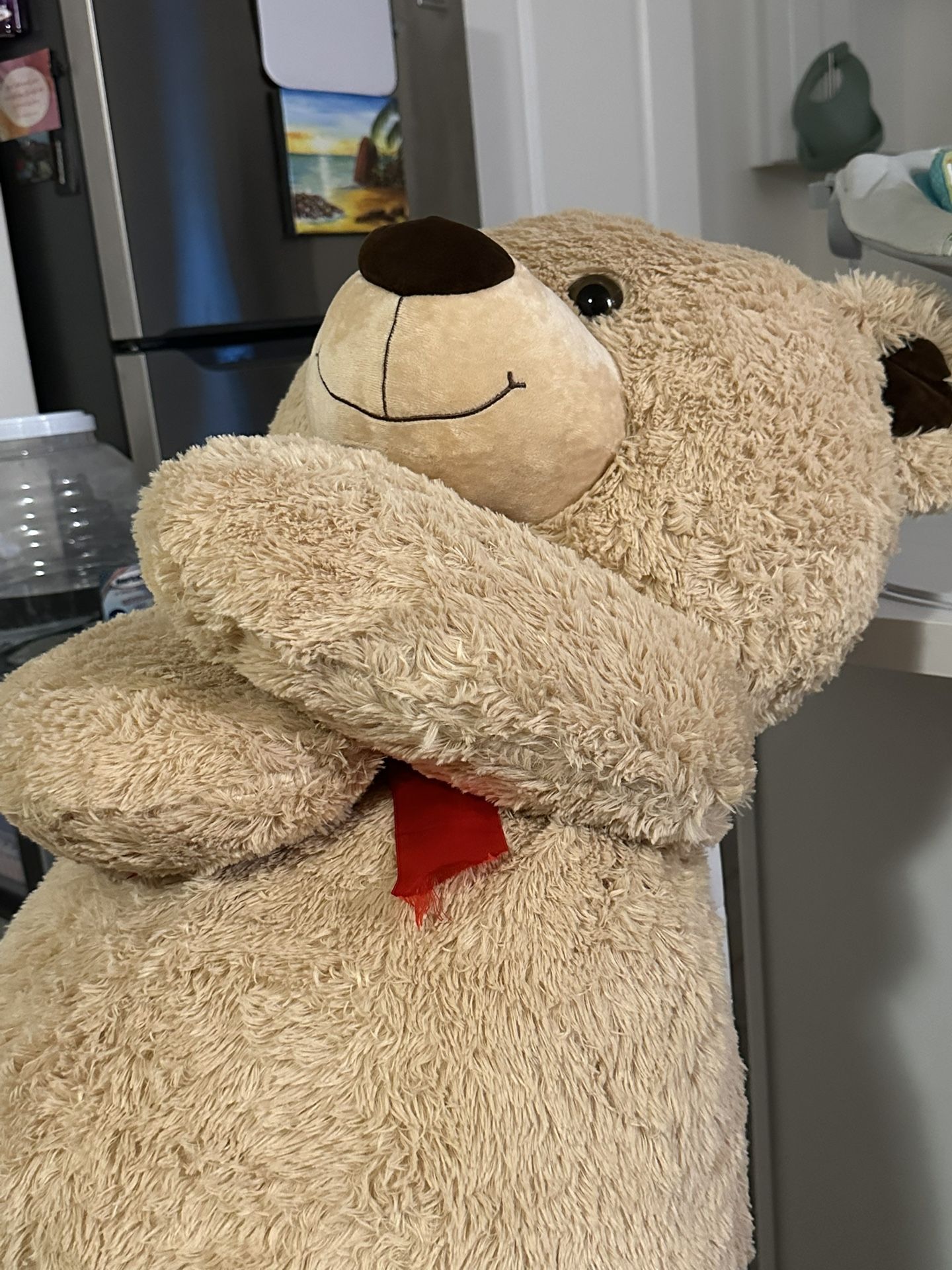 Teddy Bear 🧸