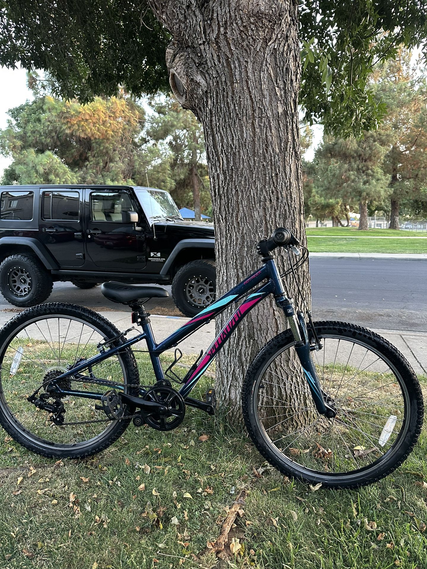 Specialized 24 Inch Bike