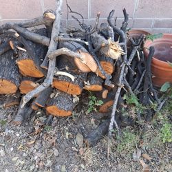 Oak/6 Large Rounds Pine Firewood 