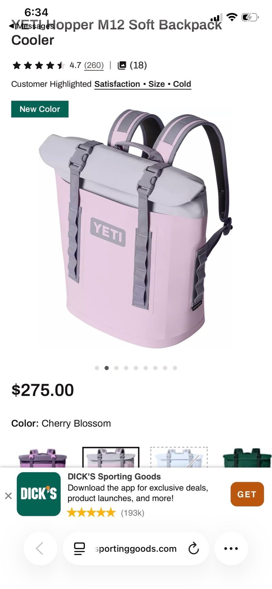 Yeti backpack coolers