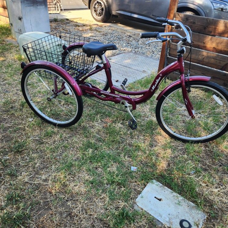 Schwinn Median