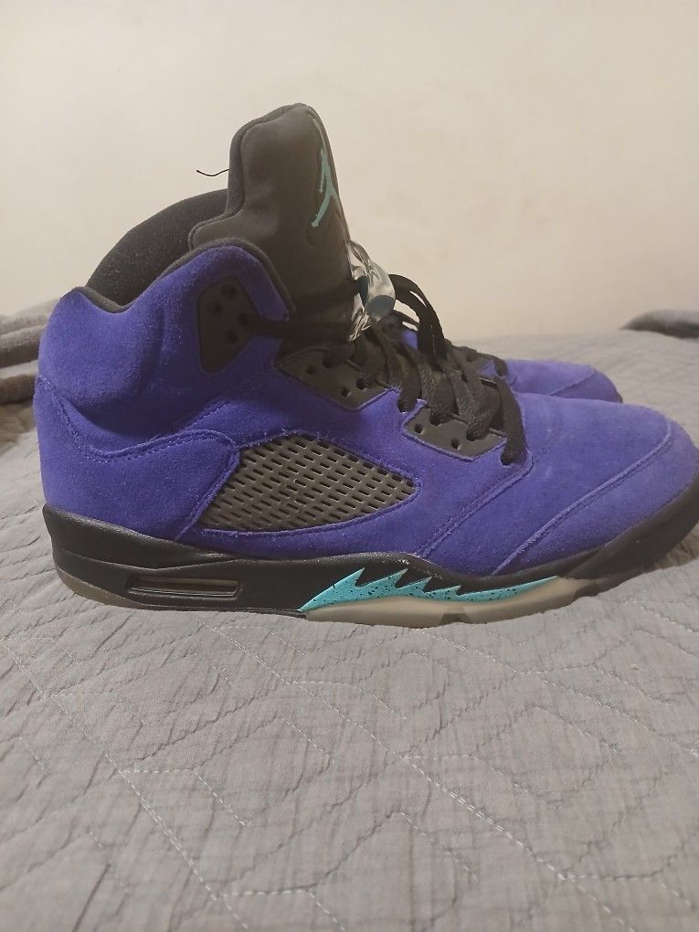 Alternate Jordan 5 Grapes