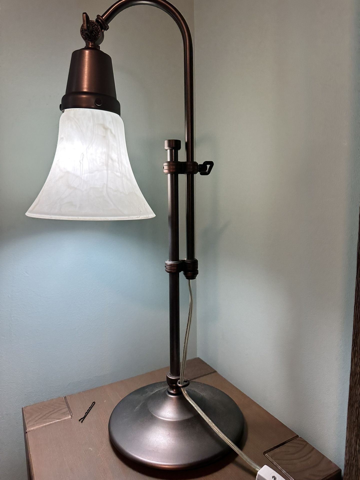 Ott Lite Adjustable Telescoping