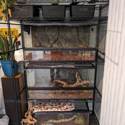 Terrariums And rack