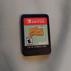 Nintendo Switch Game