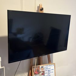 Sony Flat Screen 48”