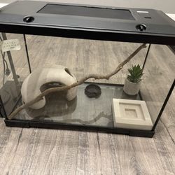 Reptile Tank