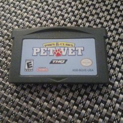 Gameboy  Advanced Game