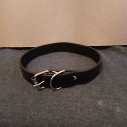 XL Dog Collars 