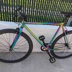 55cm.    FIXIE.       Golden 