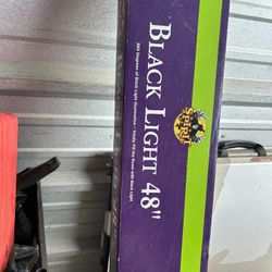 Black Light 