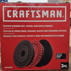 Craftsman scrubber bushes