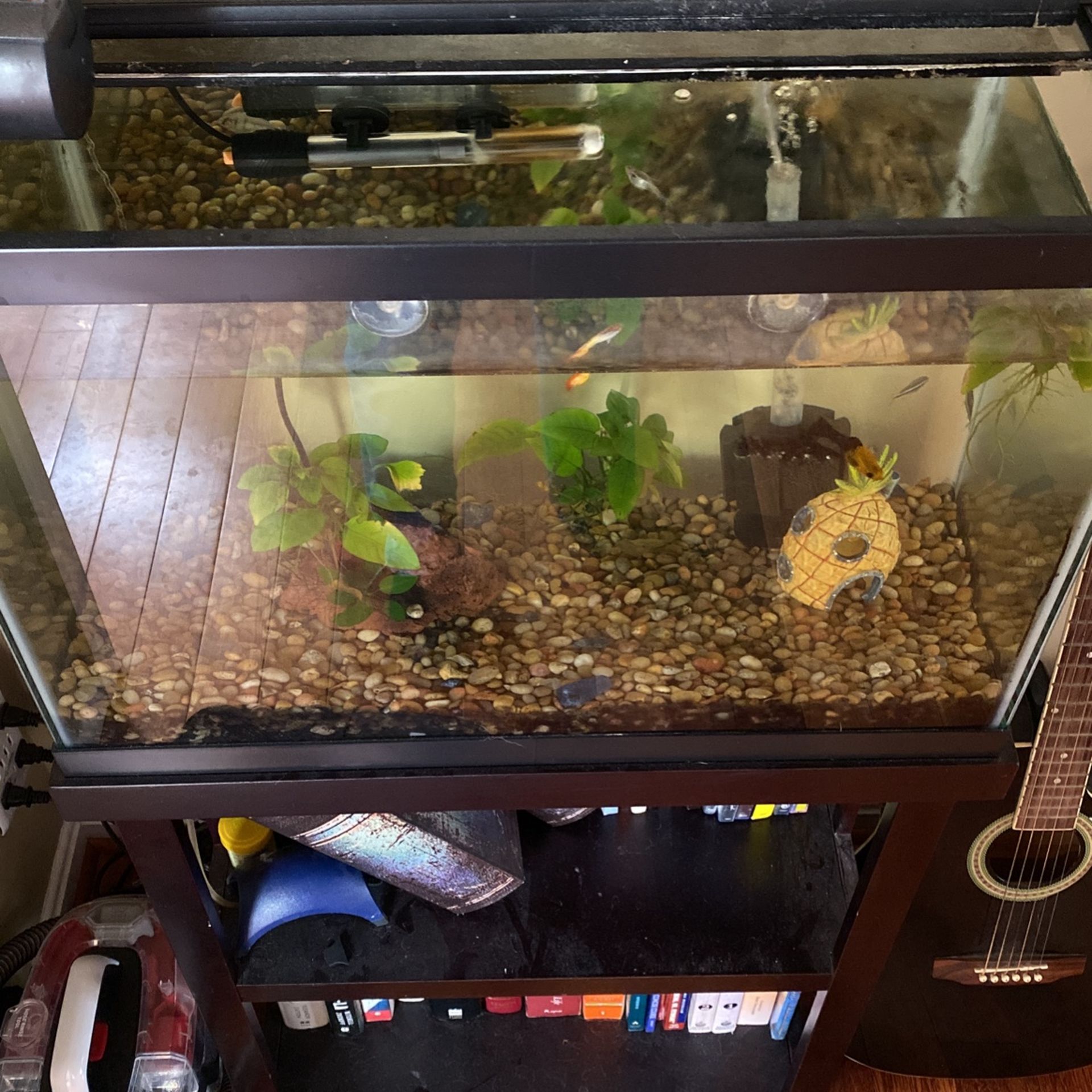 20G Tank With Equipment And Fishes
