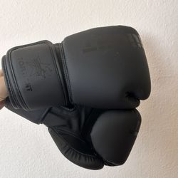 Boxing Gloves