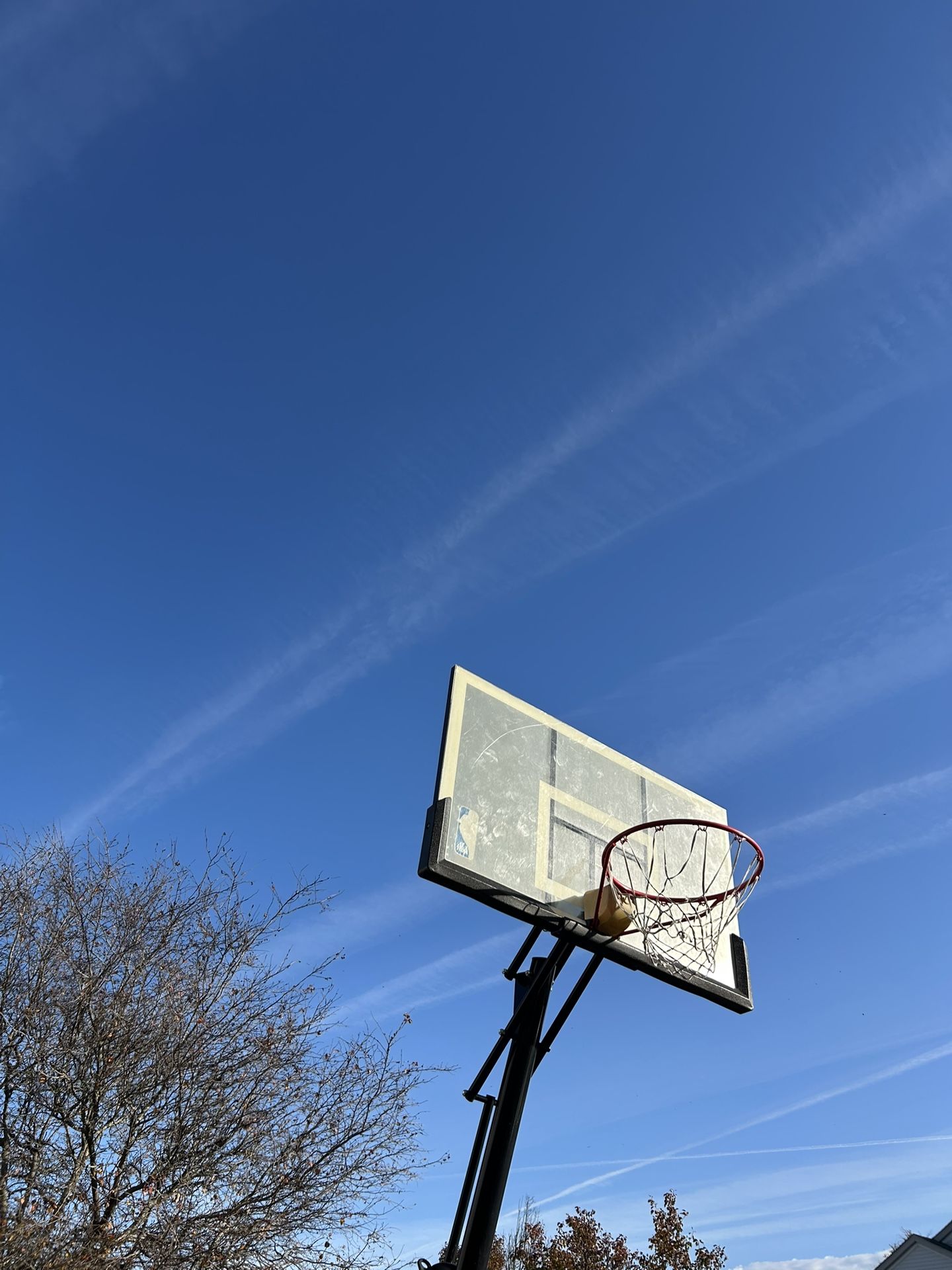 Basketball Hoop