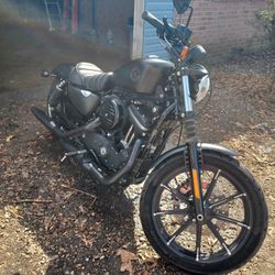 2020 - 883  Iron Harley Davidson 