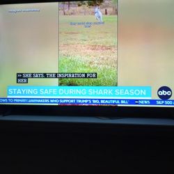 55 Inch TCL Smart TV 