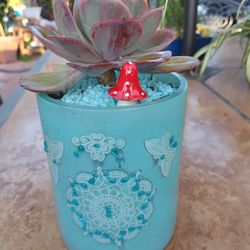Cutest Glass Teal Succulent 🌵🎀