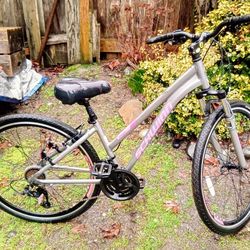 Schwinn Trailway Hybrid Bike, 700c (28") Wheels, 21 Speeds