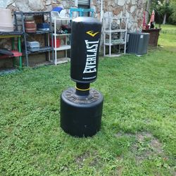 EVERLAST POWERCORE Punching Bag