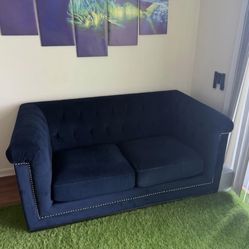 Blue Velvet Sofa – Modern Tufted Couch (Great Condition) 