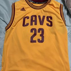 Lebron cavs jersey