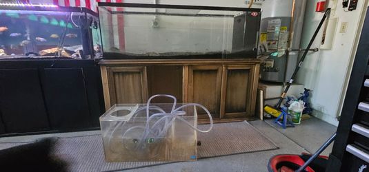 120 gallon with sump w/pump and decor