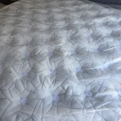 California King Size Bed Mattress King Koil Intimate Medium Firm Euro Top Button Top Stearns & Foster Aireloom Kluft Hotel Collection Saatva Purple 