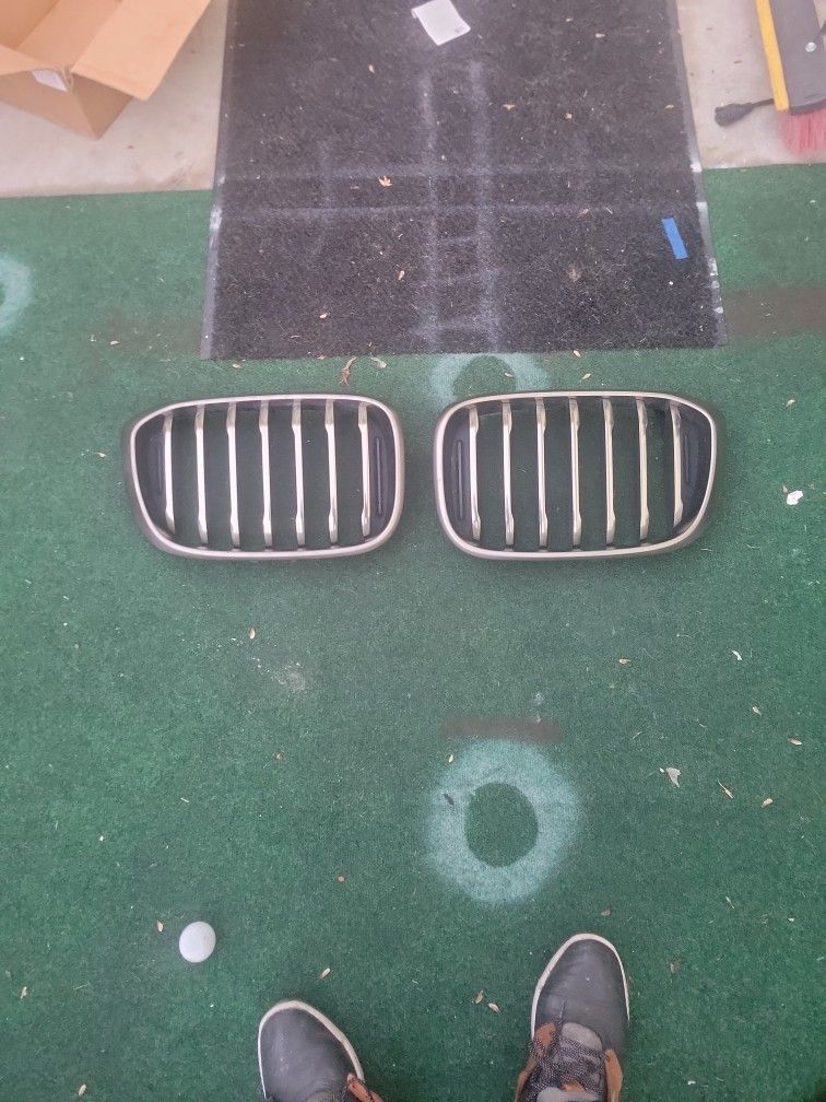 BMW X3 X4 KIDNEY GRILLE