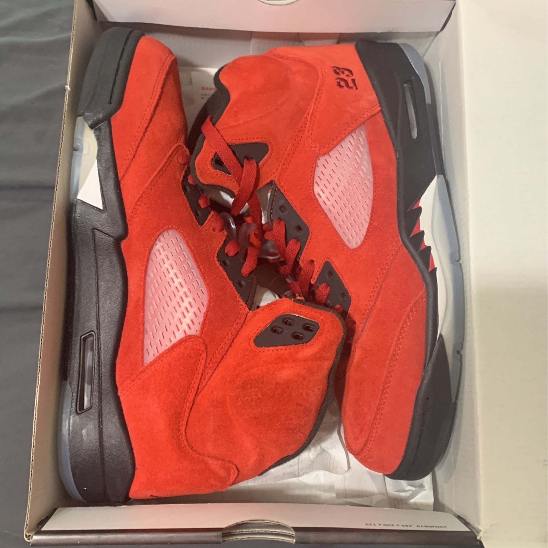 Air Jordan 5 Ragging Bulls