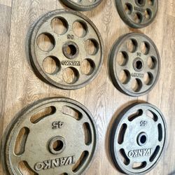  IVANKO  Revolver (45s Different Style/ Searching the revolvers to replace it): Pairs of 45s, 35s, 25s and 10s ( Total: 230 lbs)